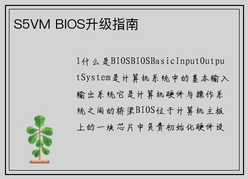 S5VM BIOS升级指南